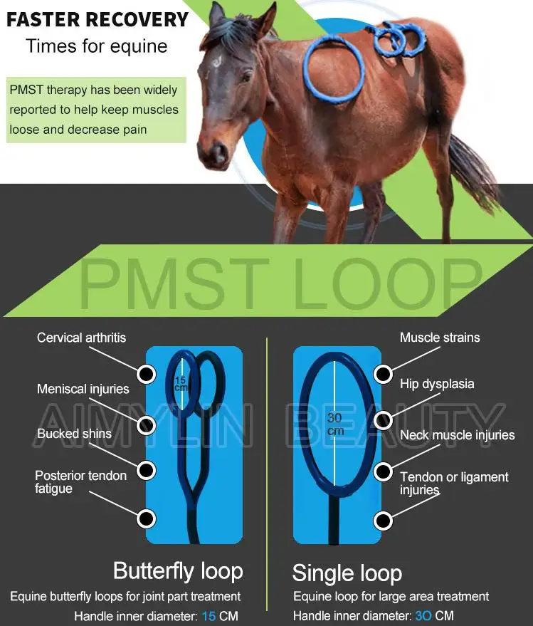 medical devices for horses horse equipment horse stable equipment