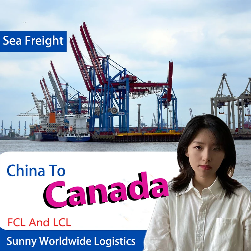 Cheapest Shipping agent from Shenzhen shipping agent to usa door to door ddp forwarder sea freight Canada UK FCL LCl