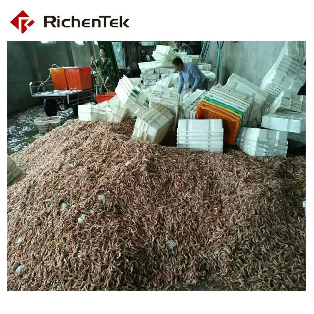 Automatic Shrimp Cleaner Grader Machine/prawn Washing Grading Machine/fresh Shrimp Size Roller Sorting Machine For 6 Grades