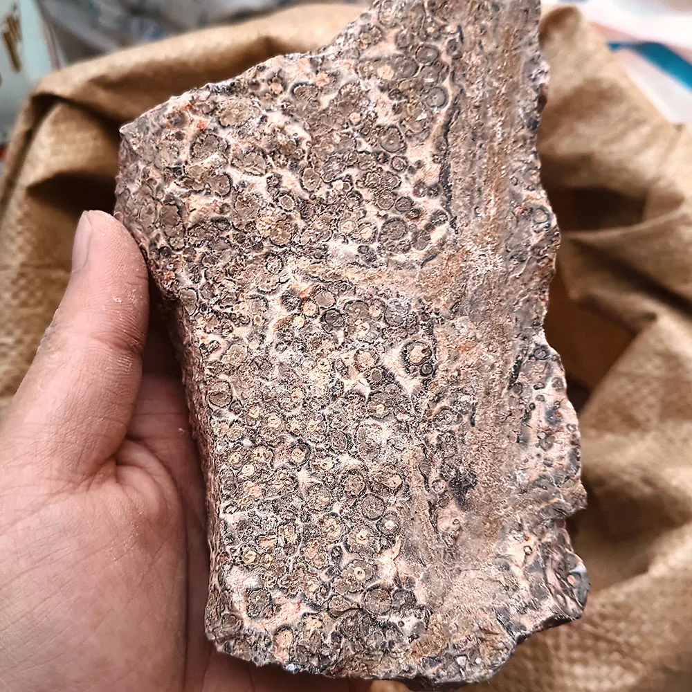Natural high quality raw stone wholesale rough leopard stone use for products processing