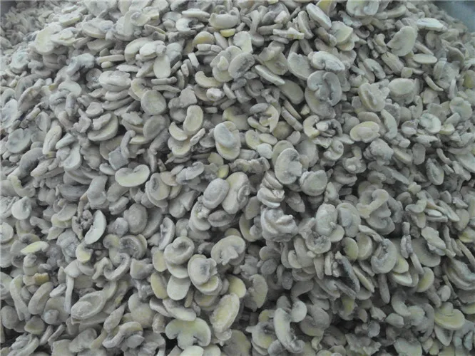 
Cheap IQF frozen champignon mushroom 