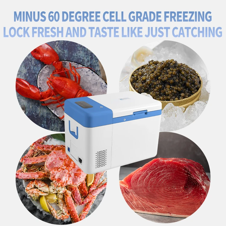 Новый портативный мини-холодильник для хранения автомобиля, размер минус 60 градусов, 25 л