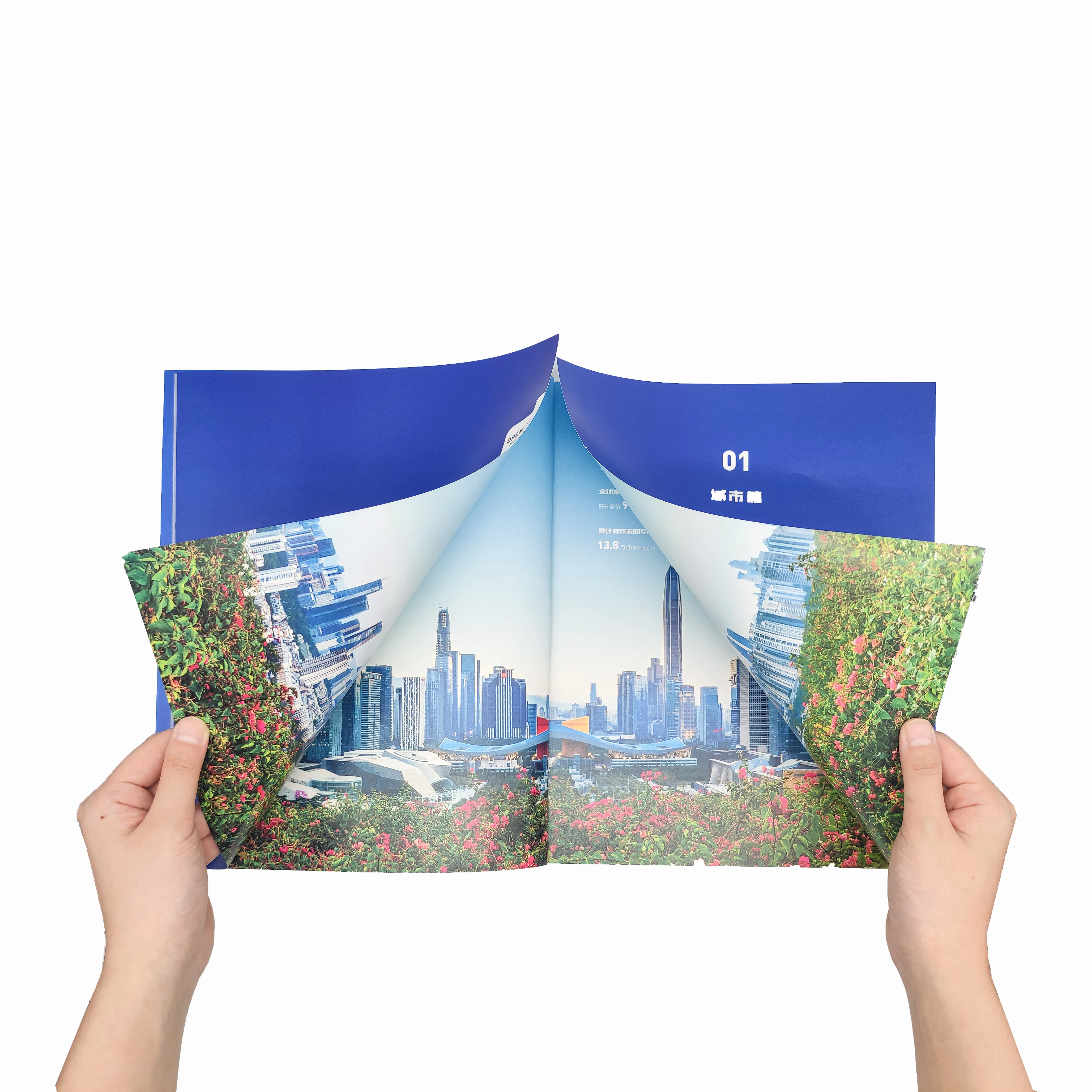 Personalized Customized Printing Soft Cover Album Luxury Enterprise Business Introduction Books Fashion Magazine