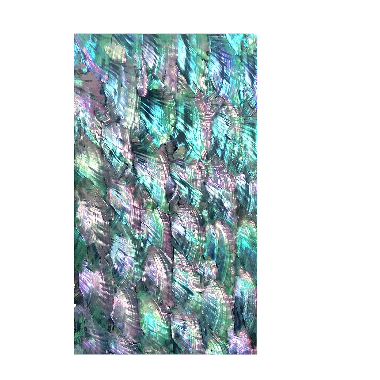 XE-067  New Design Natural Shell Paper Scallop In Shell Abalone Shell Mother Of Pearl  For Wall Art Decoration