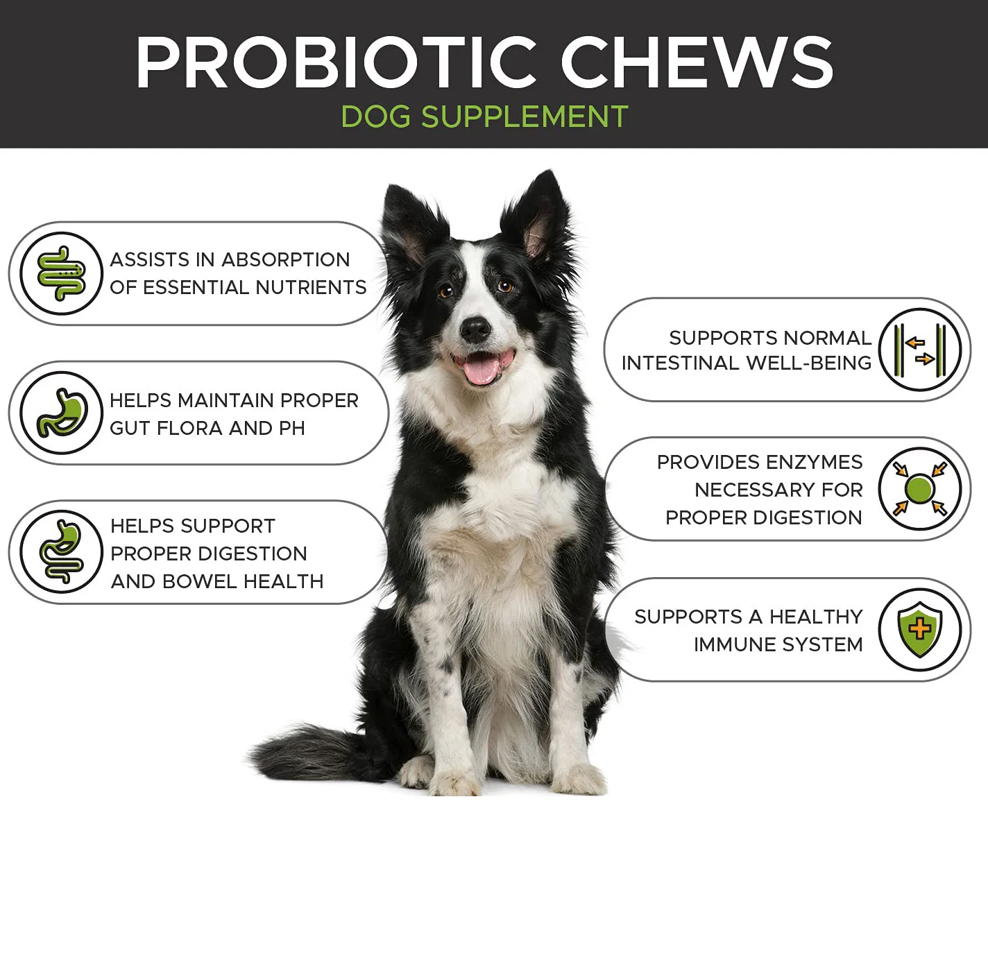 Natural Pet Supplement Probiotics Chews Support Seasonal Allergies & Immune System and Digestive Health for Dogs