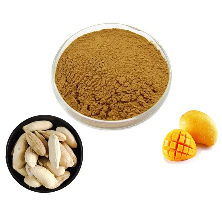 Hot selling mango seeds mango seed powder mango seed extract