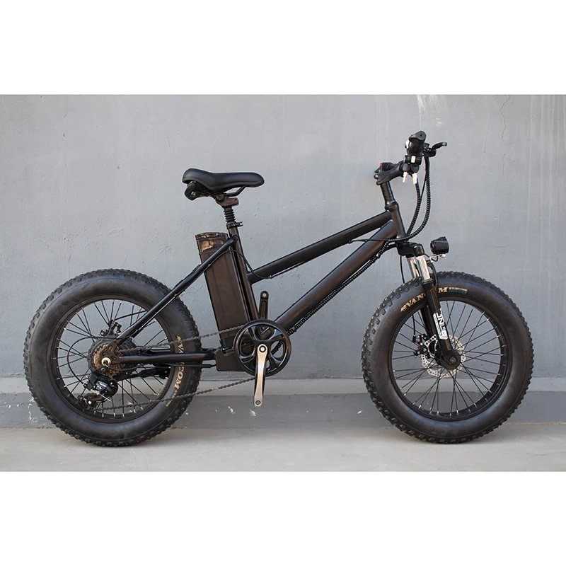 Best Selling New Cheap Ce 26Inch Fat Tire Bike Beach Snow E Bike Steel Frame 36V 250W Electric Mountain Bike Bicycle