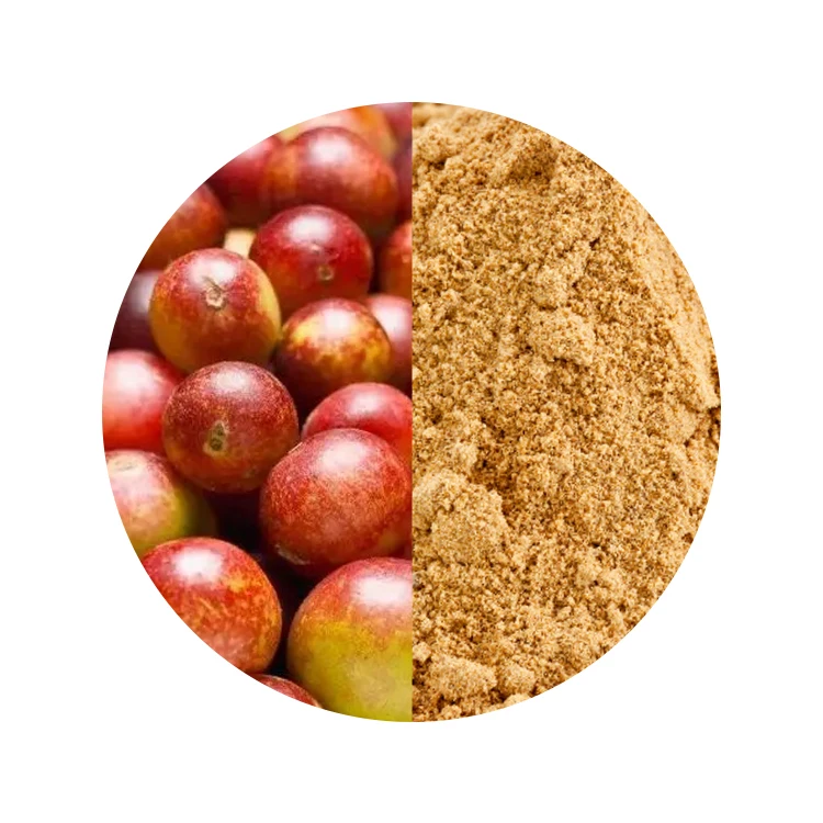 Vitamin C Dietary Supplement Powder Freeze Drying Camu Camu Powder Functional Herb Extract Powder