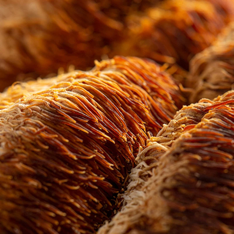 Оптовая продажа сушеных грибов Львиная Грива высокого качества Hericium