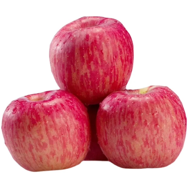 Sweet Premium Fuji Apple Chinese Suppliers Fresh Red Fuji Red Apples