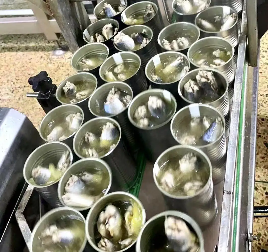 
Best quality canned sardines fish from morocco in vegetable oil 125g 