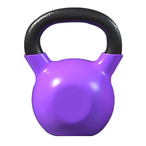 High Quality Kettle Bell Home Gym Equipment Fitness 30LB Vinyl Dipping Kettlebell