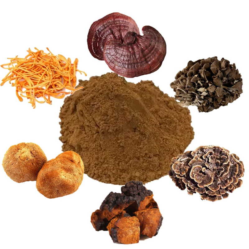 High Quality Powerful Mushroom Extract Powder Blend Lions Mane,cordyceps,reishi,chaga,turkey Tail,maitake Extract 6 in 1