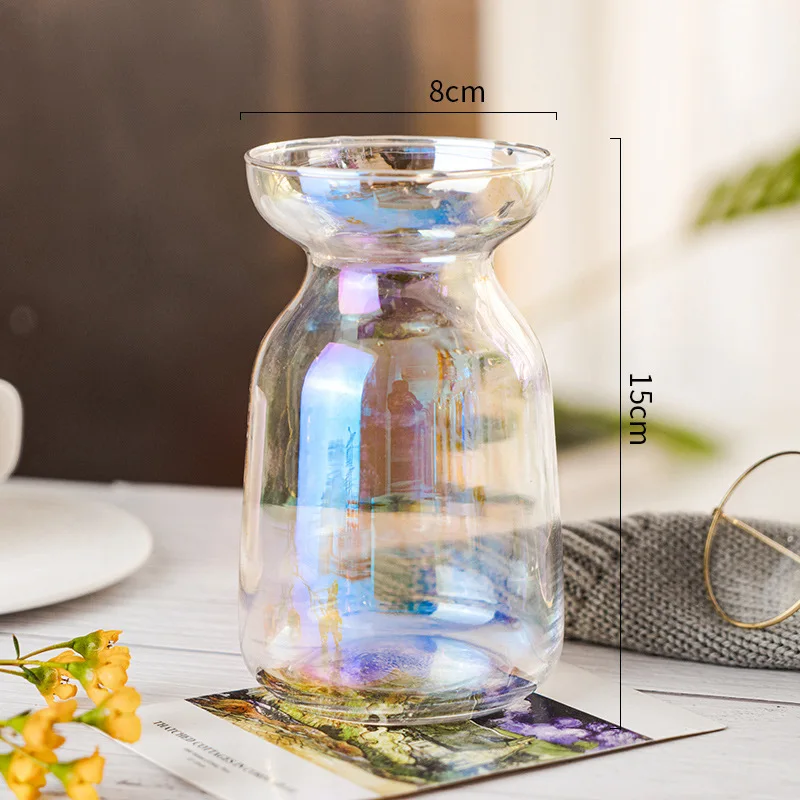 Aurora Fantasy Gradient Simple Small Vase Glass Flower Arrangement Flower Maker Hydroponic Plant Glass Vase  Tabletop Glass Vase