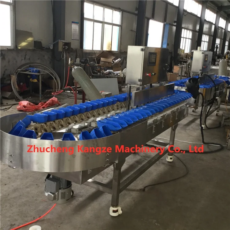 Low price sale 304 Stainless steel fish seafood shrimp weight sorting machine Chicken feet Wing Middle wing root grading machine