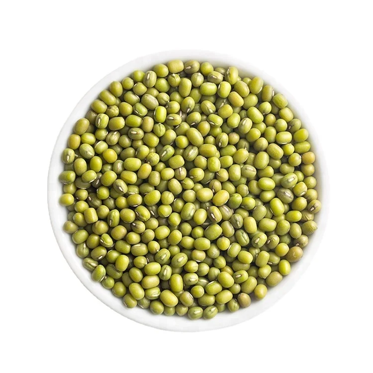 Chinese sprouting green mung bean