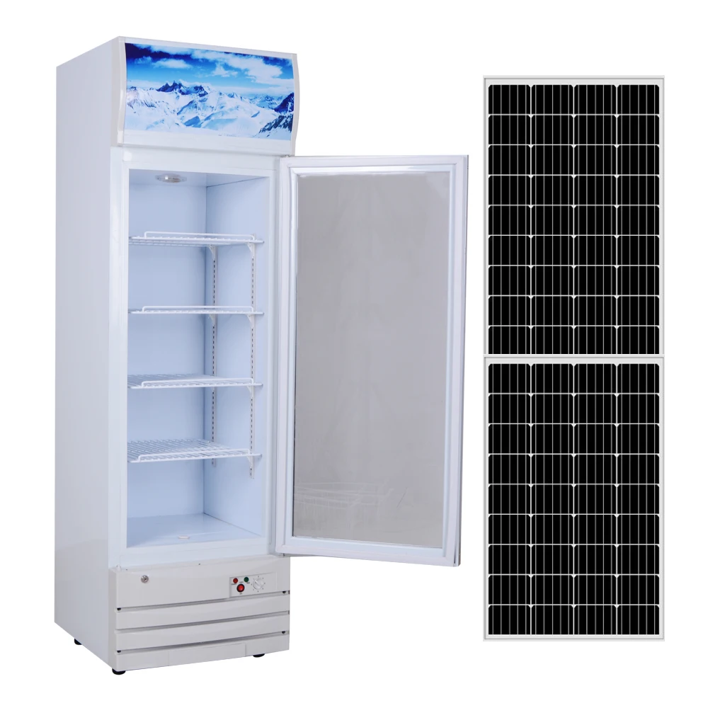 High Quality Professional Solar Powered Top-Freezer Refrigerator Fridge From Factory