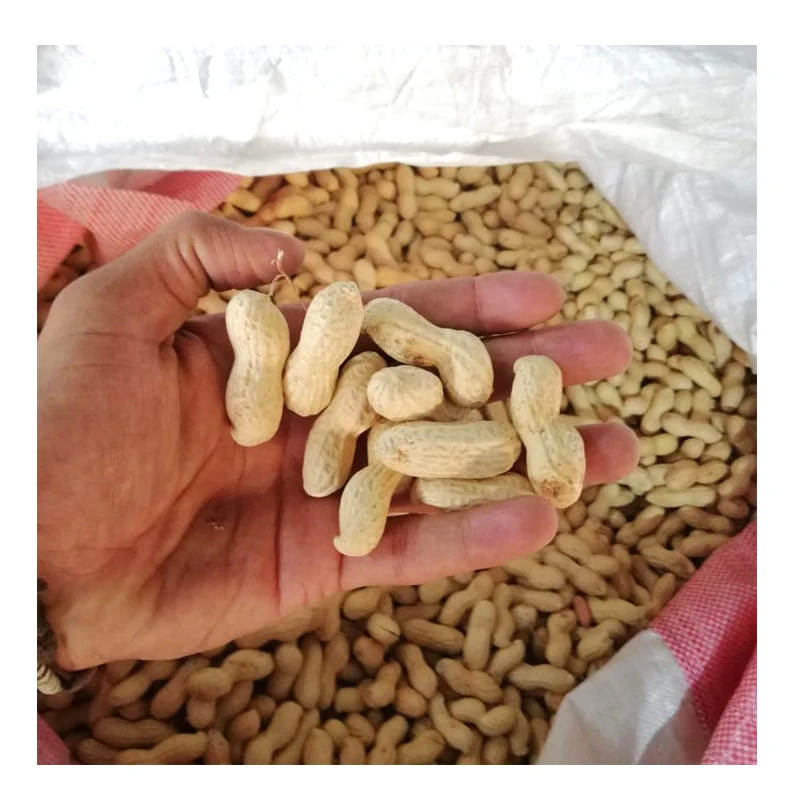 
Bulk Organic RAW Biodegradable Peanuts For Sale 