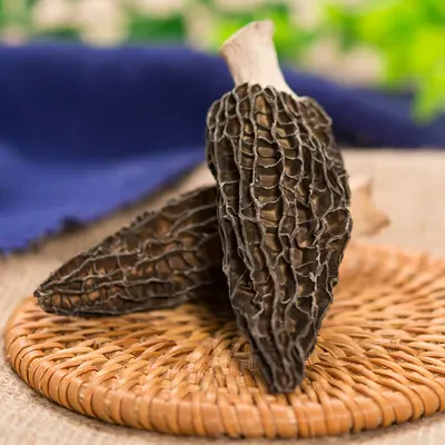 Huaran Yulin Guangxi China fungus mushroom wholesale Black Wild Morel Mushroom Dry Toadstool For Food