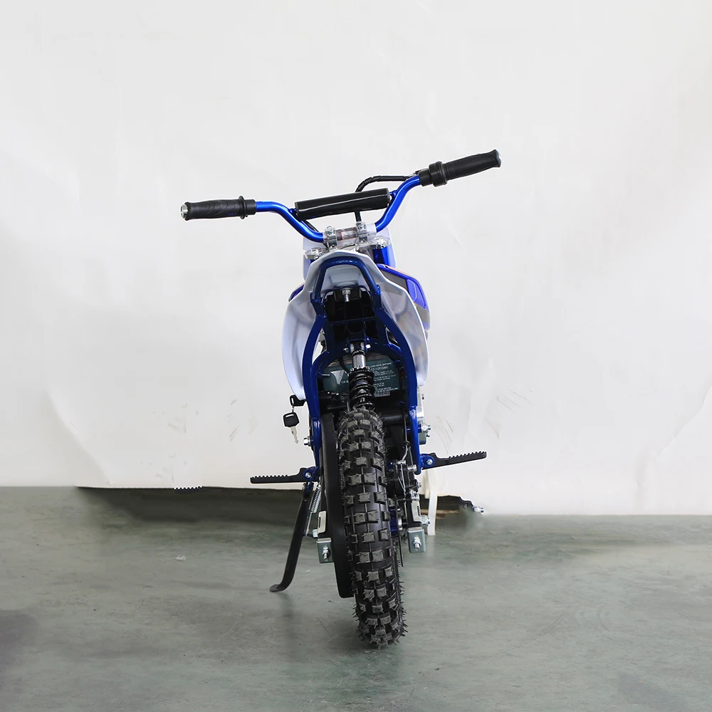 ZLDB-03E 1000W Electric Dirt Bike