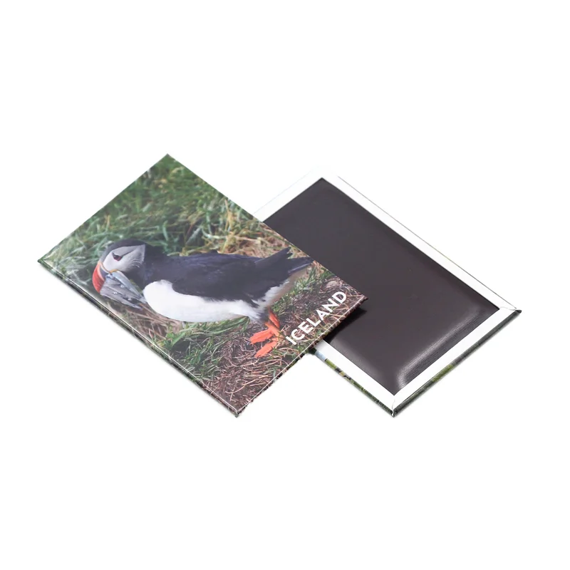 Direct Factory Supply Custom Tin Metal Refrigerator Fridge Magnet Magnetic Sticker with Unique Shape