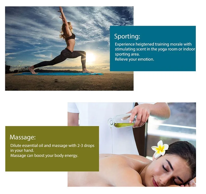 
The Fine Quality Sandalwood Vanilla Aroma Essential Oil 