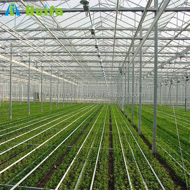 Easy To Install Greenhouse Polycarbonate Green House Pc Board Agriculture Greenhouses Low Cost Tunnel Greenhouse