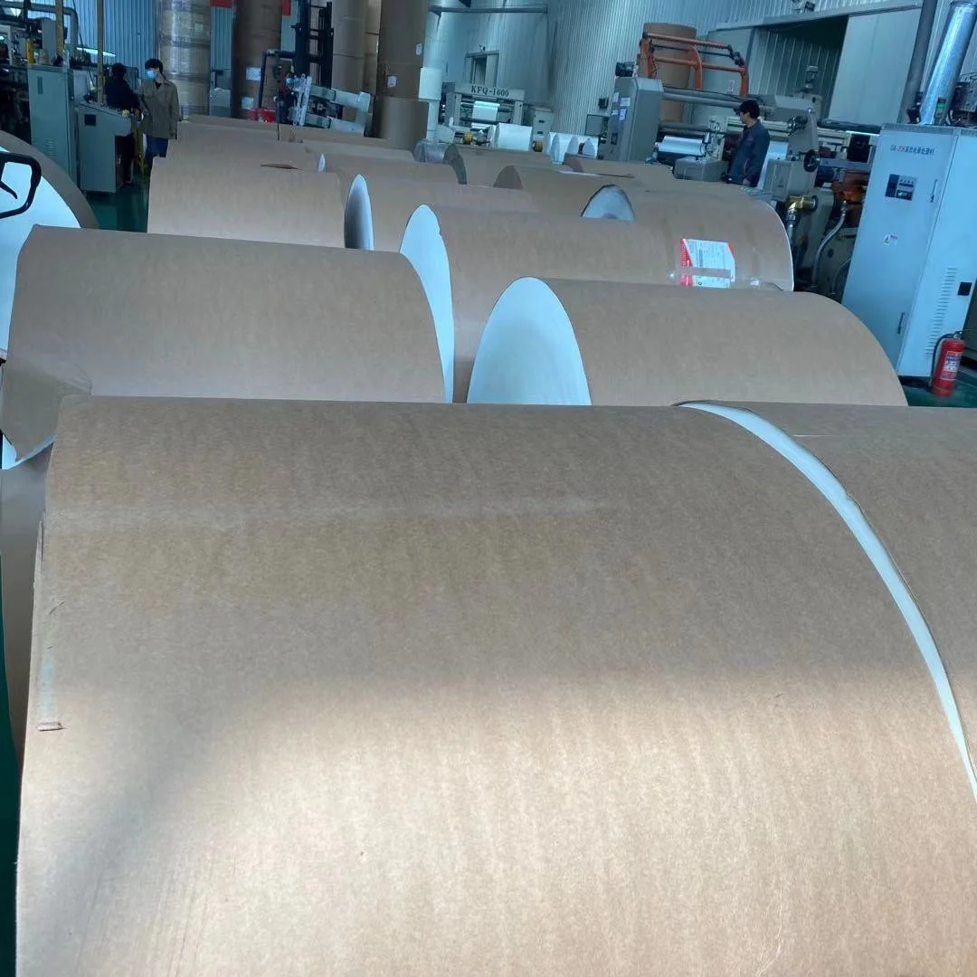 
PE coated food grade kraft paper roll PE coated paper in roll 