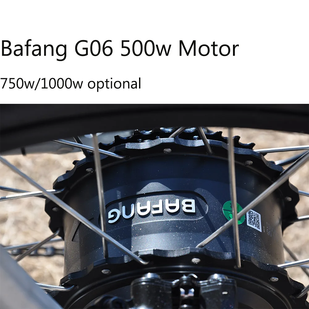 500/750W MTB e bike Italian  frame ebike  electric fat bike bicycle