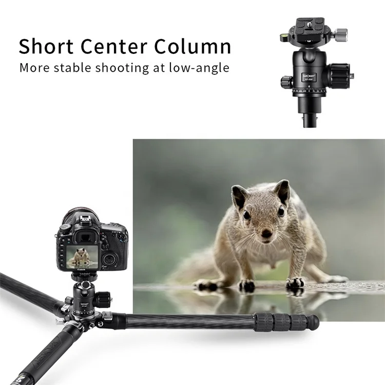 K&F Concept DSLR Camera Carbon Fiber Tripod with Ball Head Quick Release Plate
