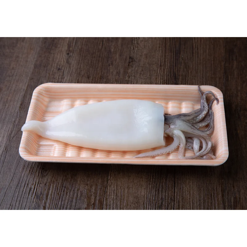 squid good price frozen loligo squid on sale  squid T+T tube/tentacle
