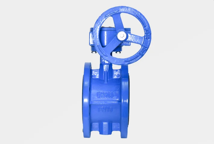 6" butterfly valve