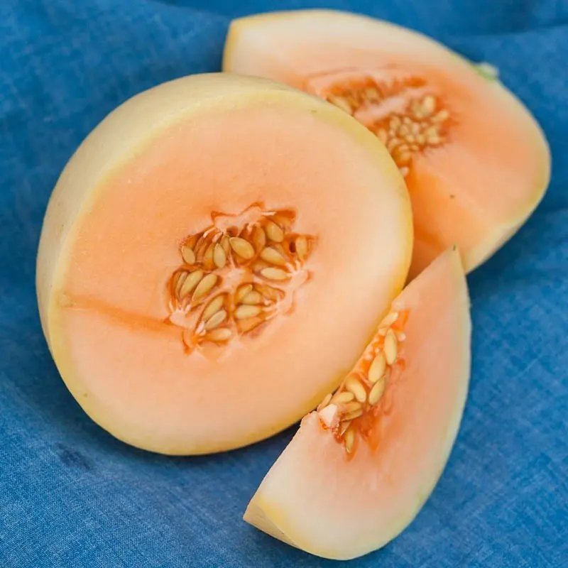 
Fresh Organic Orange Flesh Melon 