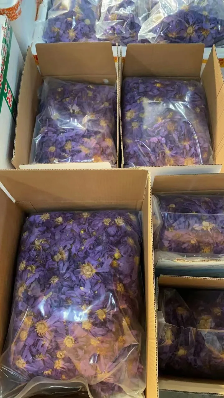 2023 Lan lian hua Best Brand High Quality dried nymphaea caerulea blue lotus