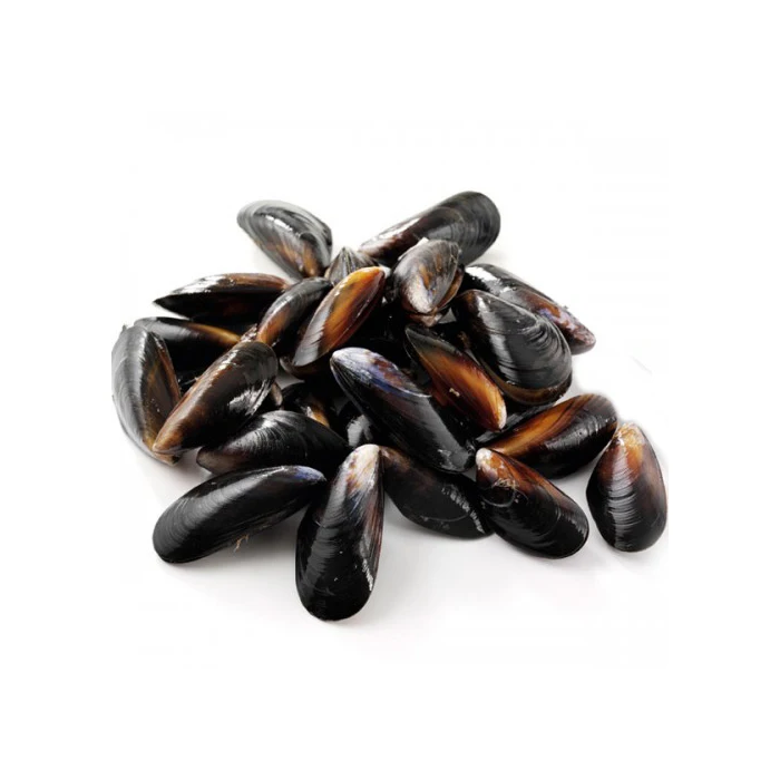China seafood manufacturers, suppliers , exporters on frozen boiled mussel meat
