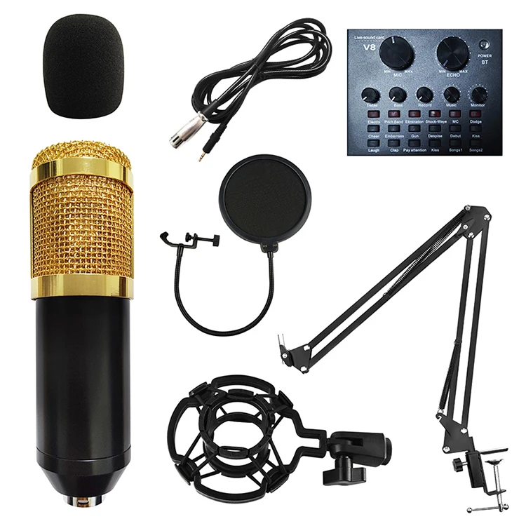 SKEREI Factory direct price I8 studio external USB stereo BM-800A sound card microphone