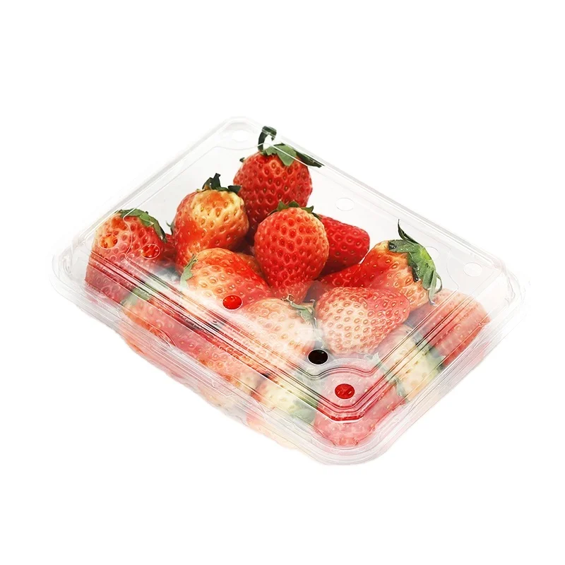 Model-300M-23 Plastic Ventilation Holes Clear Container Food Grade PET Clamshell Packaging Boxes 175x135x55mm 600Pcs/ Carton