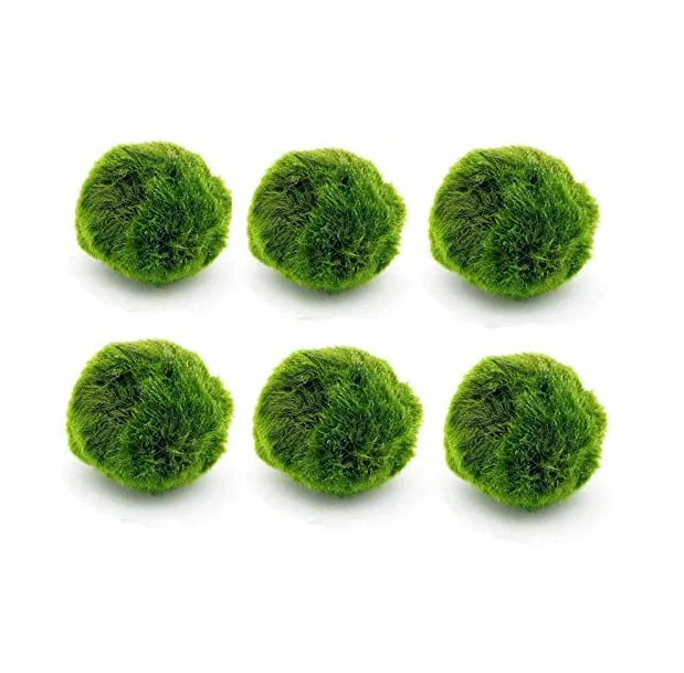 Moss Balls Fish Tank Aquarium Decorations Plants for Aquatic Pets