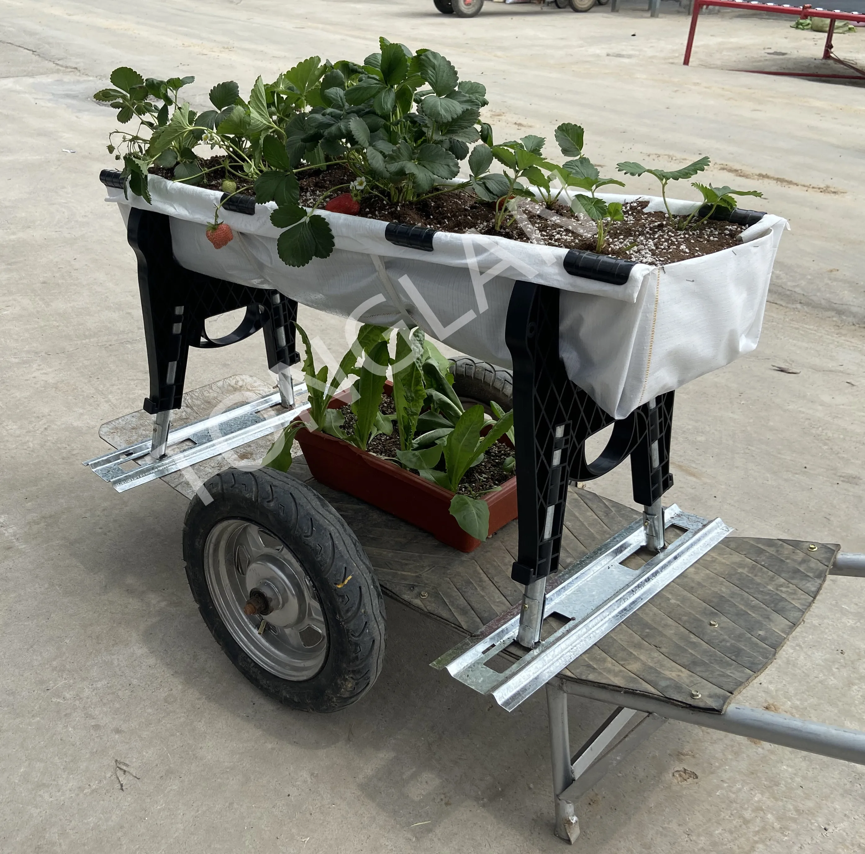 Hot Selling Planting Container Balcony Yard Gardening For Fruits and Vegetables and Flowers Growing