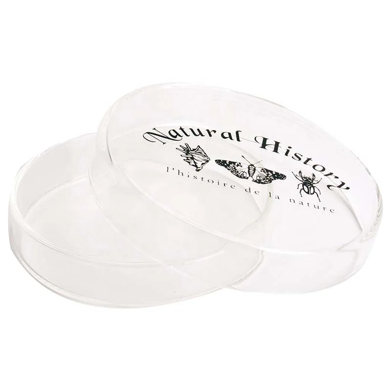 Esschert Design wholesale ML027 ML028 modern round lab ware 90mm 50 ml 120ml glass petri dish