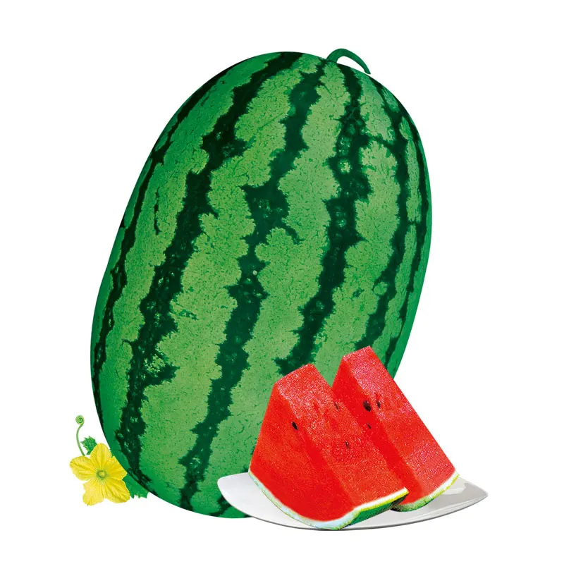 
chinese vegetables seeds company supply watermelon seed 