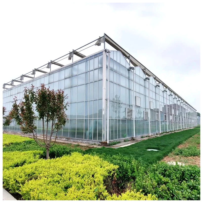 Custom Commercial Large Multispan Venlo Greenhouse Agriculture Glass Greenhouse Suppliers Glass Greenhouse for sale