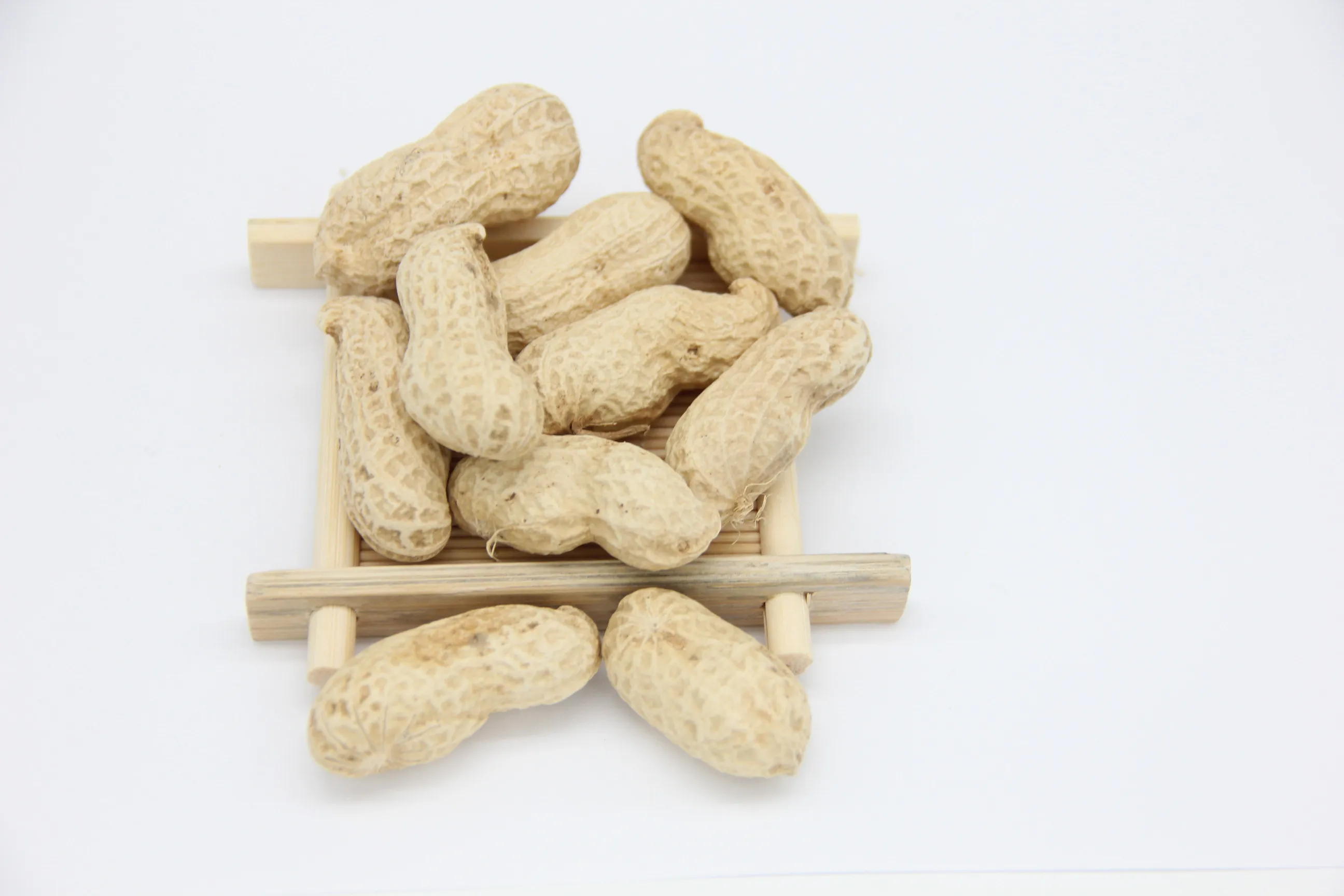 raw dried peanuts in shell