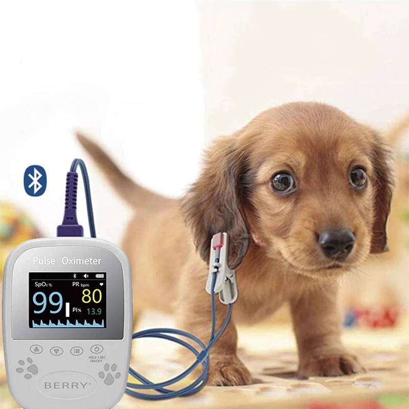 BERRY Handheld Vet Pulse Oximeter Animal Hospital Use Pulse Oximeter Diagnosis & Injection Small Animal Veterinary for Pet