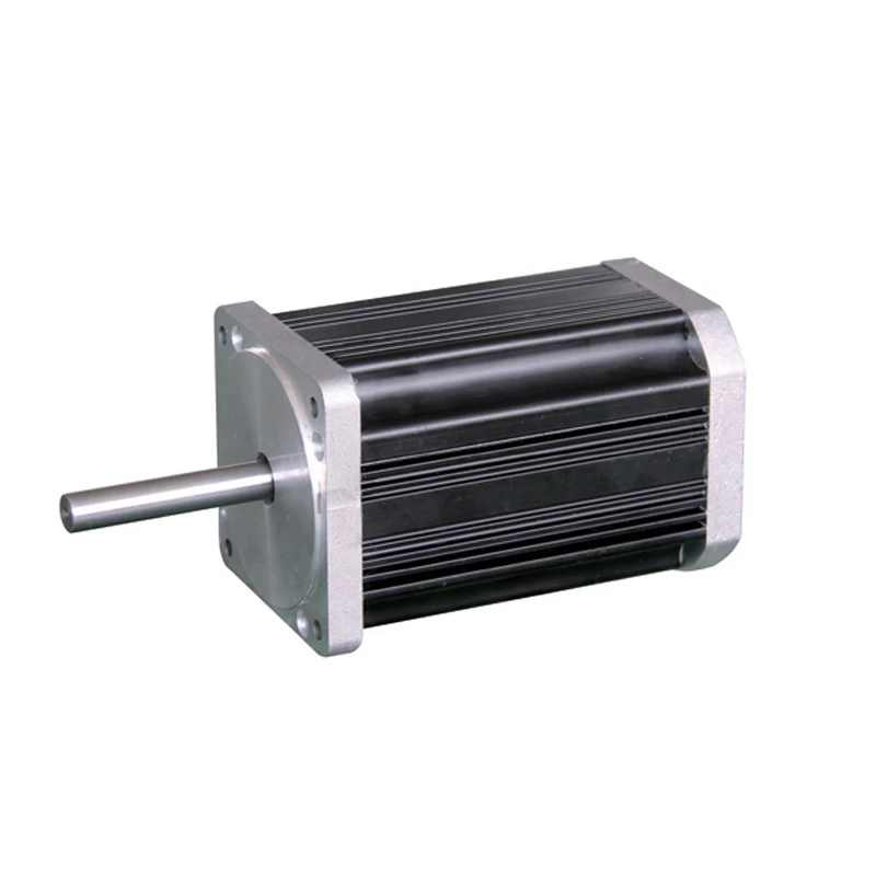 42mm 60mm Permanent Magnet 24V 48V 60v BLDC electric Moto