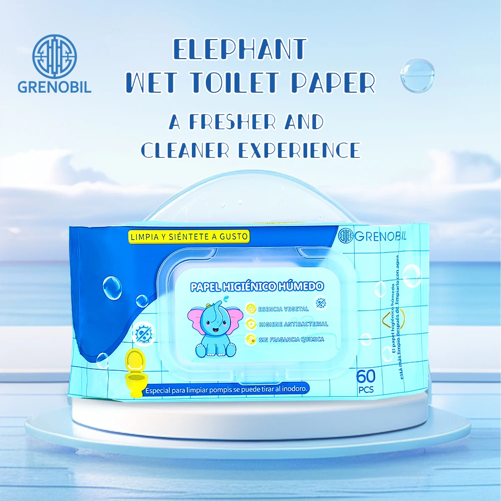 Wholesale 60-Piece 100% Biodegradable Disposable Eco-Friendly Wet Toilet Paper OEM ODM Biodegradable Toilets Tissues