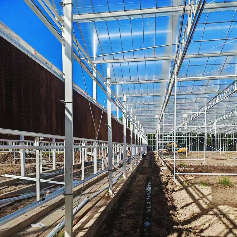 smart irrigation vertical hydroponic system agricultural farming Muti-span Venlo agriculture glass greenhouse