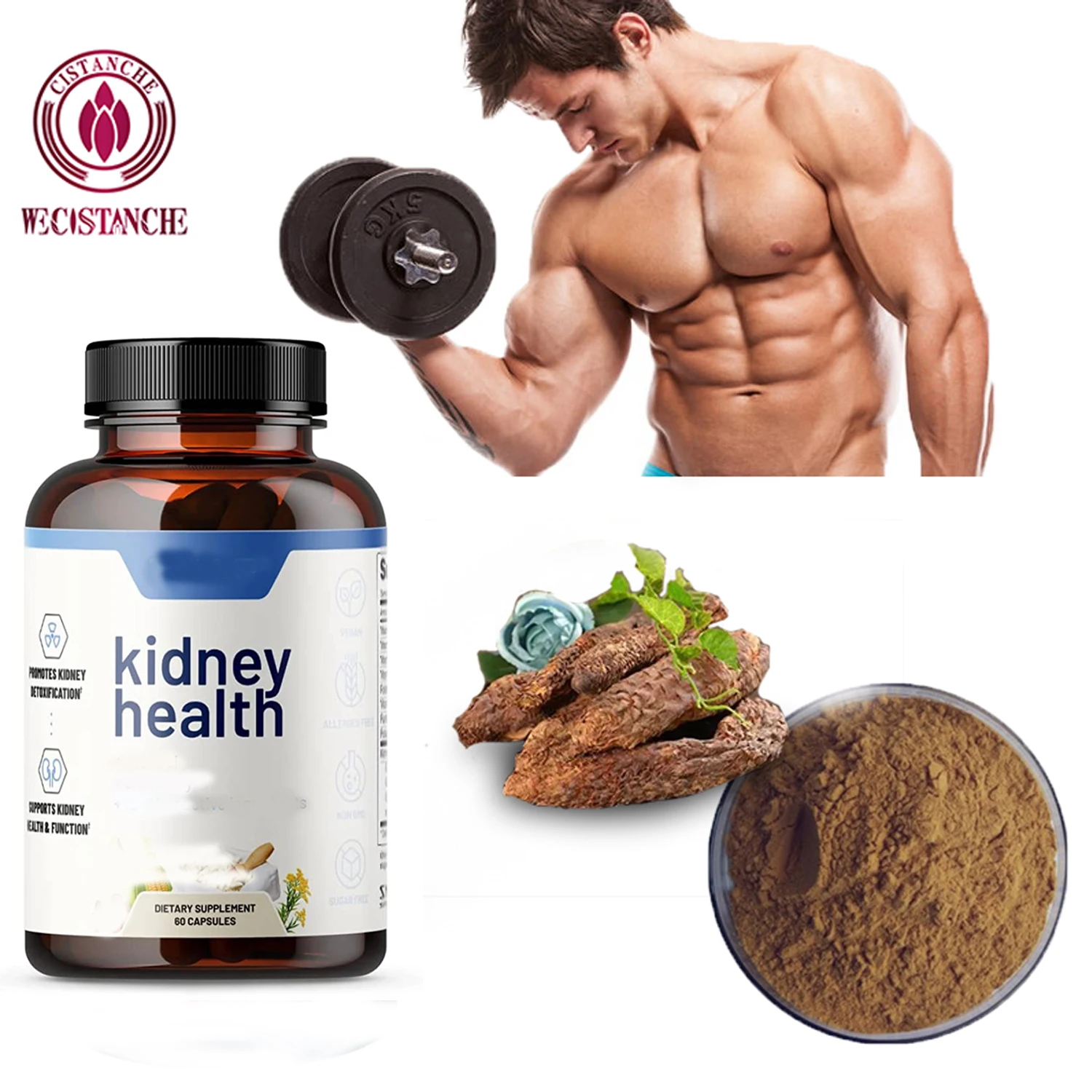 Cistanche Capsules Powder For Overall Health 50% Echinacoside 10% Acteoside Cistanche Tubulosa Extract