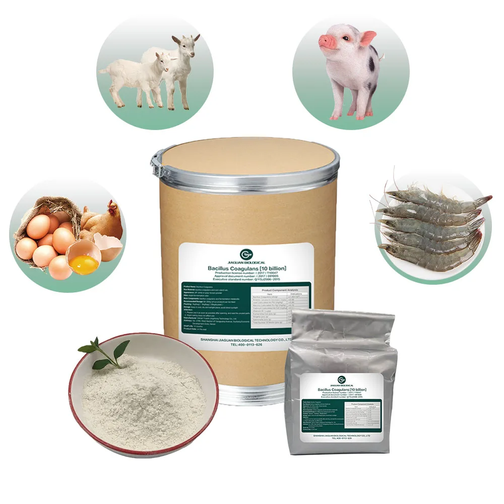 Feed Premix Feed Additive Growth Promoting Animal Feed Additives for Fish