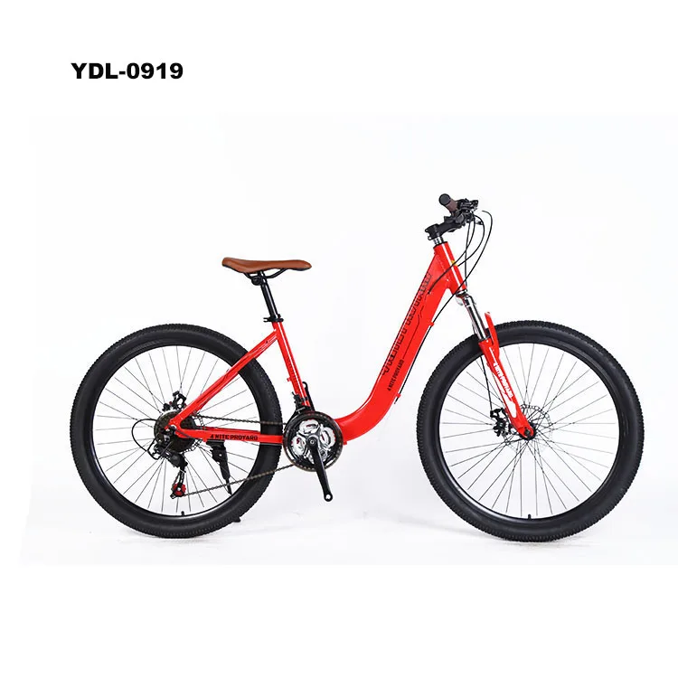 2023 Aluminum Alloy Mountain Bike bicycle Popular 21 speed  disc brake women vintage city bike